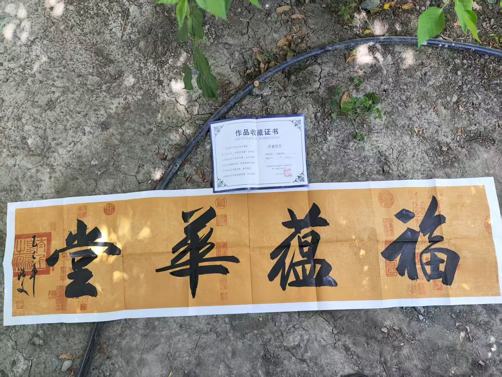 微信图片_20250610151927.jpg